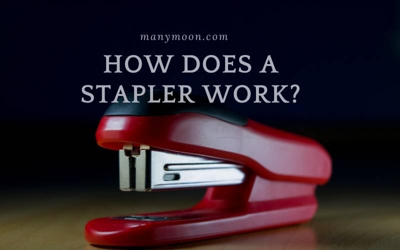 How Does a Stapler Work Top Full Guide 2022