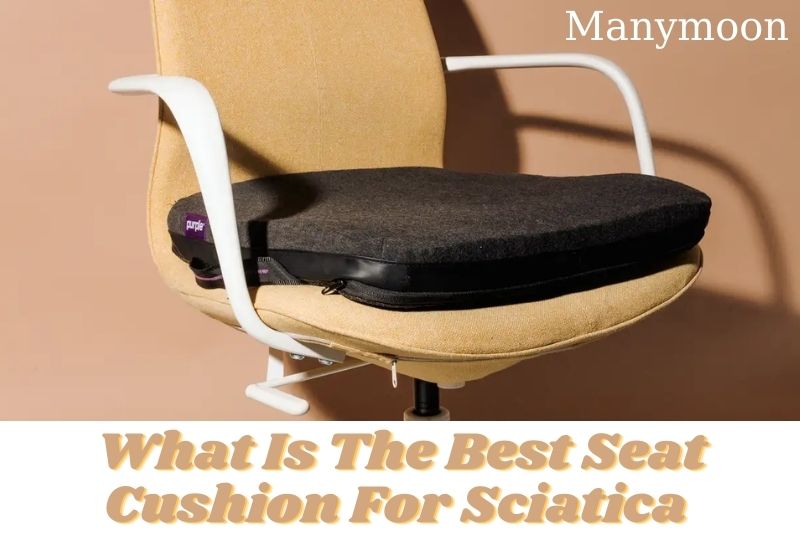 What Is The Best Seat Cushion For Sciatica Top Brands Review 2022