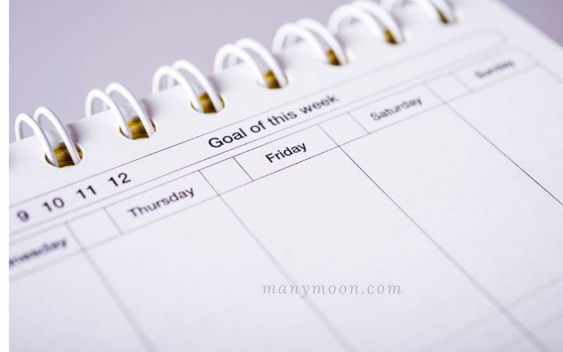 simplified planner weekly vs daily Weekly Planner
