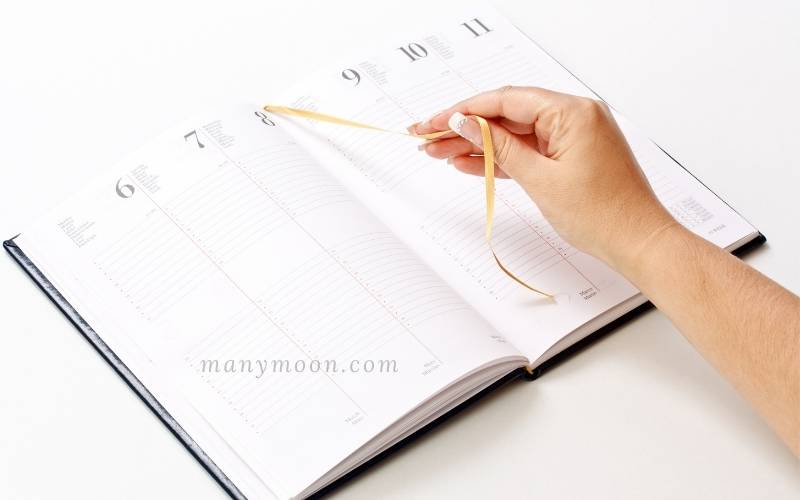 weekly vs daily refill planner Daily Planners