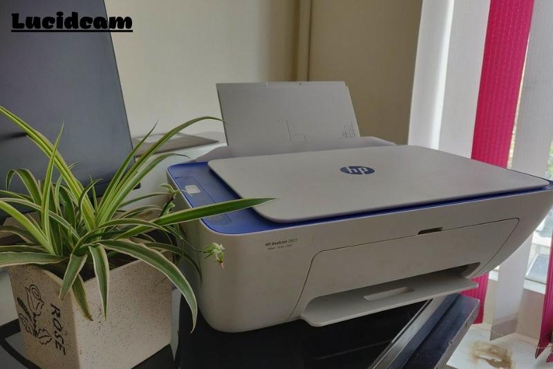 You Will Need To Scan From The HP Printer To Your Computer