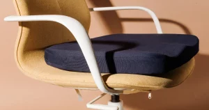 Best Office Chair Cushions