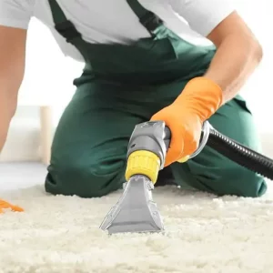 brush for carpet cleaning