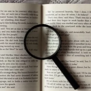 full page magnifier